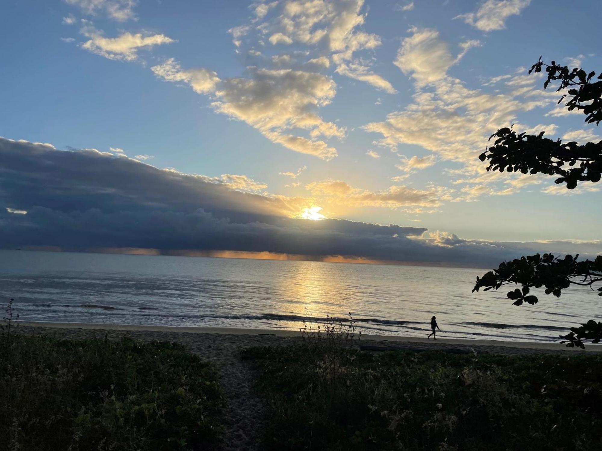 The York Beachfront Holiday Apartments Yorkeys Knob Bagian luar foto